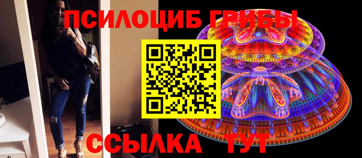 Псилоцибиновые грибы ЛСД Лесной